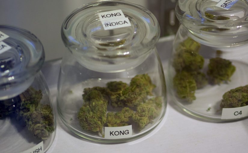 Study Finds Marijuana Legalization Had Little Impact on Crime in Colorado or Washington