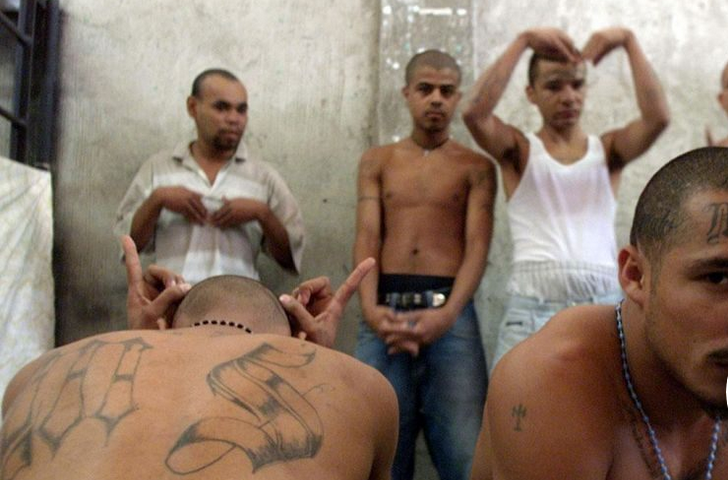 What does the first-ever terrorism charge against MS-13 member really mean?